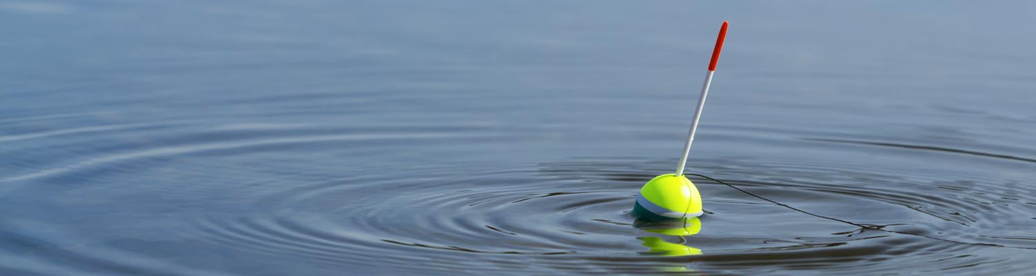 Fvm Fish fish bite – Fischerverein Meilen FVM